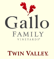 Twin Valley Logo